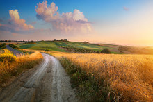 Italy Autumn  Countryside Landscape, Dirty Road And Farmland Over Sunset Sky