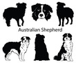Australian shepherd set. Collection of pedigree dogs. Black white illustration of a australian shepherd dog. Vector drawing of a pet. Tattoo.