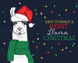 Merry llama christmas greeting festive card vector illustration. Joyful alpaca in red santa claus cap and looking at camera and congratulating everyone. Xmas holidays concept