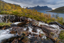 Waterfall And Autumn Colour In Anderdalen National Park, Senja