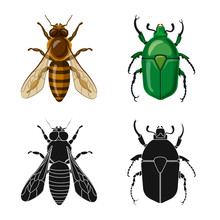 Vector Illustration Of Insect And Fly Icon. Set Of Insect And Element Vector Icon For Stock.