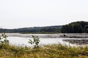 Wall Mural - River near beautiful pine forest and fisherman in boat on summer day. Concept nature. Landscape.