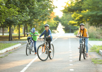 Wall Mural - Cute children riding bicycles outdoors