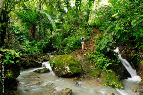 Wild Darien jungle near Colombia and Panama border. Central America.