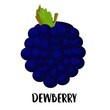 Illustration of cute staring dewberry mascot isolated on light background. Flat design style for your mascot branding.