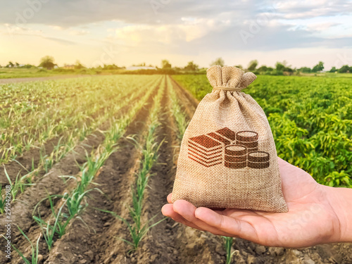 Fotografía The farmer holds a money bag on the background of plantations