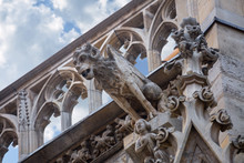 Elements Of Gothic Architecture. Grotesque, Chimera And Gargoyle Sculptures On The Facade Of An Ancient Medieval Cathedral. St. Stephen's Cathedral. Vienna. Austria