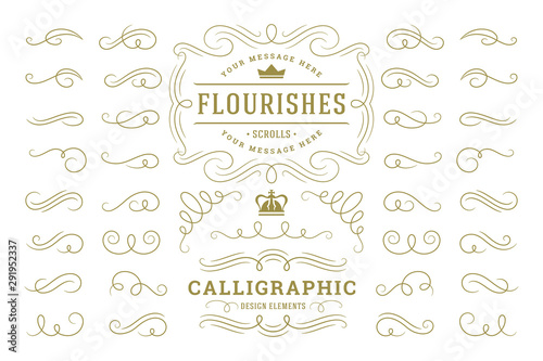 Cuadros en Lienzo Calligraphic design elements vintage ornaments swirls and scrolls ornate decorations vector design elements