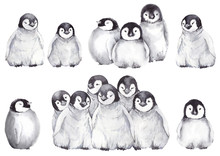 Collection Of Cute Baby Penguins. Winter Cartoon Illustration. Watercolor Isolated On White Background.