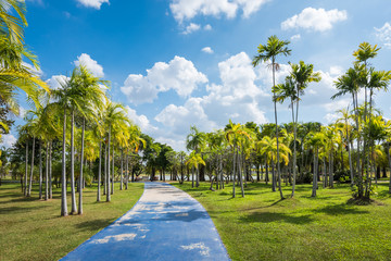 Canvas Print - Footpath in Public Park