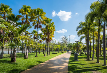 Canvas Print - Footpath in Public Park