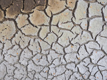 Cracked Crust Of Dried Silt. Shoal Of Fresh Water Due To Global Warming. Background Image, Low Contrast