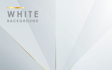 Wall Mural - modern abstract light silver background vector. elegant concept design with golden line.