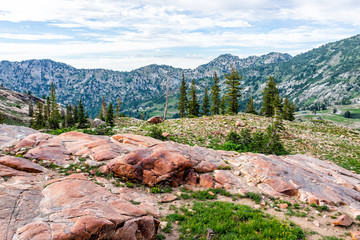 Wall Mural - Albion Basin, Utah green summer panoramic view of rocky boulders in Wasatch mountains near Cecret Lake and wildflowers