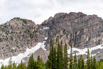 Wall Mural - Albion Basin, Utah view of green pine trees on summer trail in 2019 in Wasatch mountains with rocky snowy Devil's Castle mountain