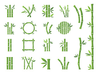  Zielony bambus łodygi i liście wektorowe ikony.