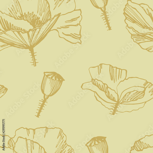 Poppy flowers. Botanical plant illustration. Vintage medicinal herbs sketch s...