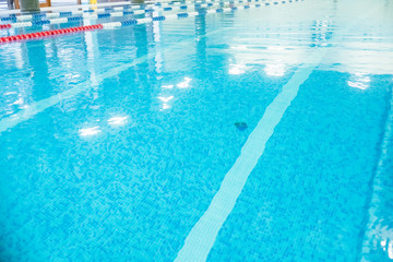 Empty lanes in a swimming pool.Indoor big blue swimming pool interior in modern minimalism style.Lanes of a competition. Healthy life, active sport