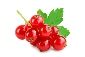 Wall Mural - Red currant berries with leaf isolated on white background