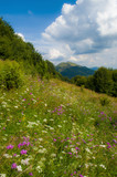 Bieszczady_2019