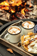 © Sunny Forest - two cup of cocoa or hot chocolate and skewers of roasted marshmallows over campfire. autumn holidays outdoors treats