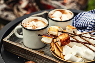 two cup of cocoa or hot chocolate and skewers of roasted marshmallows over campfire. autumn holidays outdoors treats