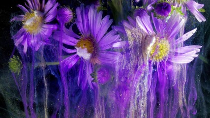 Wall Mural - Michaelmas Daisy or New York Aster. Purple flower. Acrylic colors and ink in water.