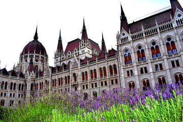 The Hungarian Parliament Buildin also known as the Parliament of Budapest after its location,is the seat of the National Assembly of Hungary, a notable landmark of Hungary.