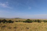 Fototapeta Sawanna - Vistas desde el safari en el masai mara