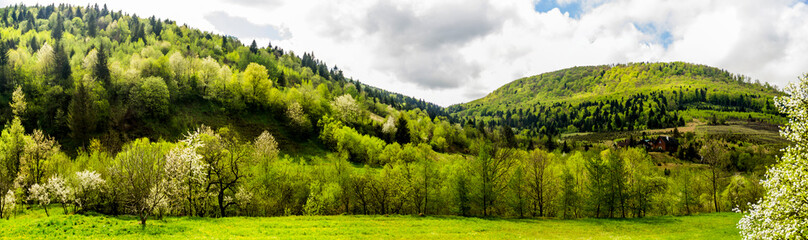 panorama of the Carpathian mountains