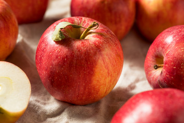 Sticker - Raw Red Organic Gala Apples