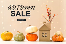 Autumn Sale Theme Message With Collection Of Autumn Pumpkins With A Toy House