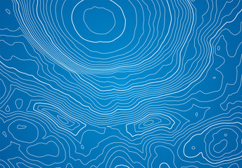 Leinwandbilder - Abstract topographic map background with height lines