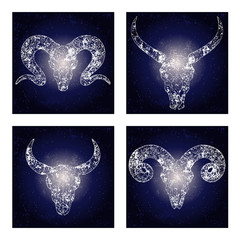 Wall Mural - Vector set of four illustrations with hand drawn skulls wild buffalo, bull and rams against the background of the starry sky.