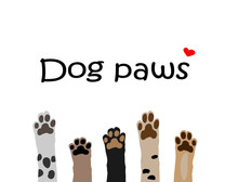 Vector Illustration Of Colorful Dog Paws On White Background. Brochure, Flyer, Postcard.