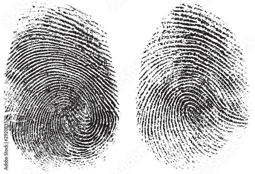 Fotografía fingerprints isolated on white vector illustration
