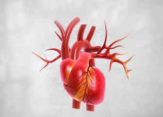 Sticker - human heart anatomy. 3d render