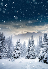 Majestic Winter Landscape With Snowy Fir Trees.  Winter Postcard.