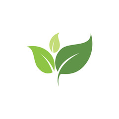 Logos of green Tree leaf ecology nature element