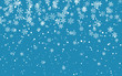© Oleh - Christmas snow. Falling snowflakes on dark background. Snowfall. Vector illustration