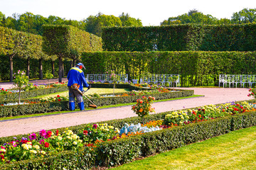 gardener with lawnmower cares for lawn in park