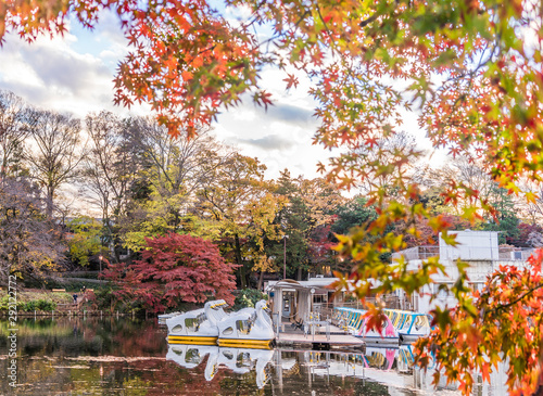 Cute Duck Pedal Boats Floating In The Pond Of Kichijoji Inokashira Park Acheter Cette Photo Libre De Droit Et Decouvrir Des Images Similaires Sur Adobe Stock Adobe Stock Cute Duck Pedal Boats Floating In The Pond Of Kichijoji Inokashira Park Acheter Cette Photo Libre De Droit Et Decouvrir Des Images Similaires Sur Adobe Stock Adobe Stock