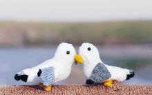 Two Knitting Cute Little Birds Kissing Standing On Rope By The Sea With Blurry Cliff Background, Image With Copy Space For Letter Or Message, Concept For Love Card And Valentine