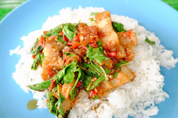 Wall Mural - Rice topped with Crispy sliced pork and basil leaf. Traditional Thai street food.