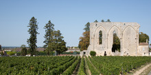 Vineyards Of Saint-Emilion In Web Banner Template Header