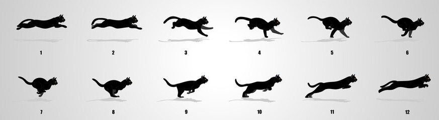 Wall Mural - Cat Run cycle animation sequence