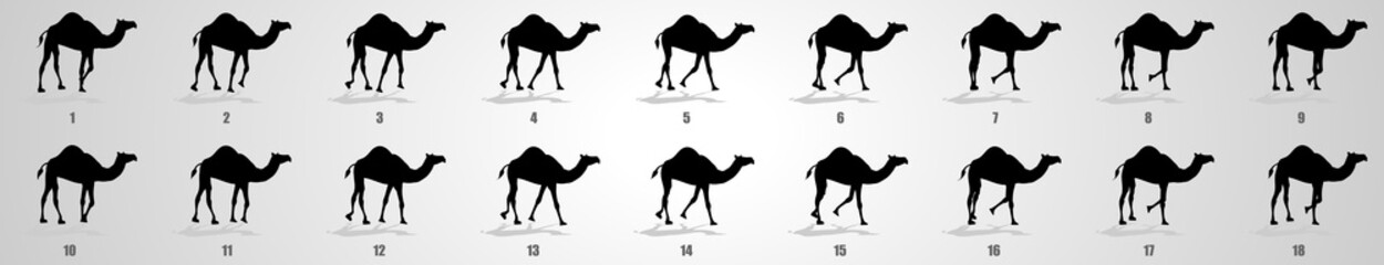 Wall Mural - Camel Walk cycle animation sequence