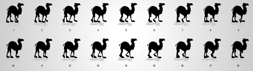 Wall Mural - Camel Walk cycle animation sequence
