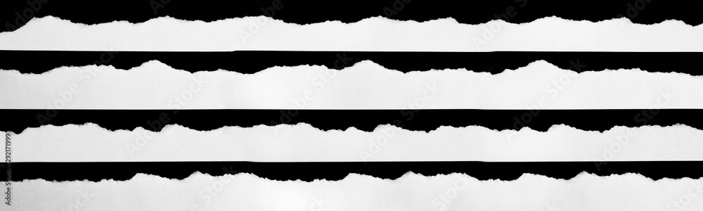 white torn paper on black background. collection paper rip - obrazy, fototapety, plakaty 