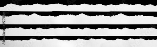 Fotomural white torn paper on black background. collection paper rip